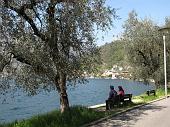 Lago d'Iseo, Montisola: passeggiata primaverile da Peschiera Maraglio a Sensole il 21 aprile 2010 - FOTOGALLERY